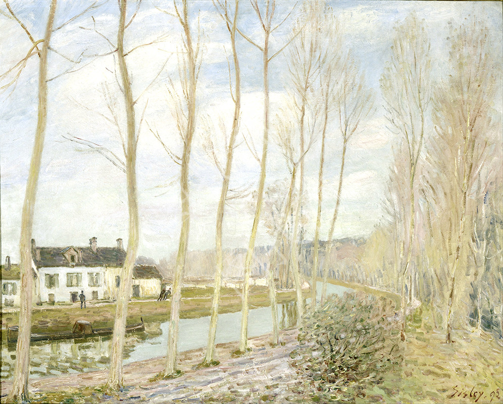 016HTY (2098) 80x65cm